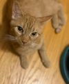 Daisy Mae photo 1