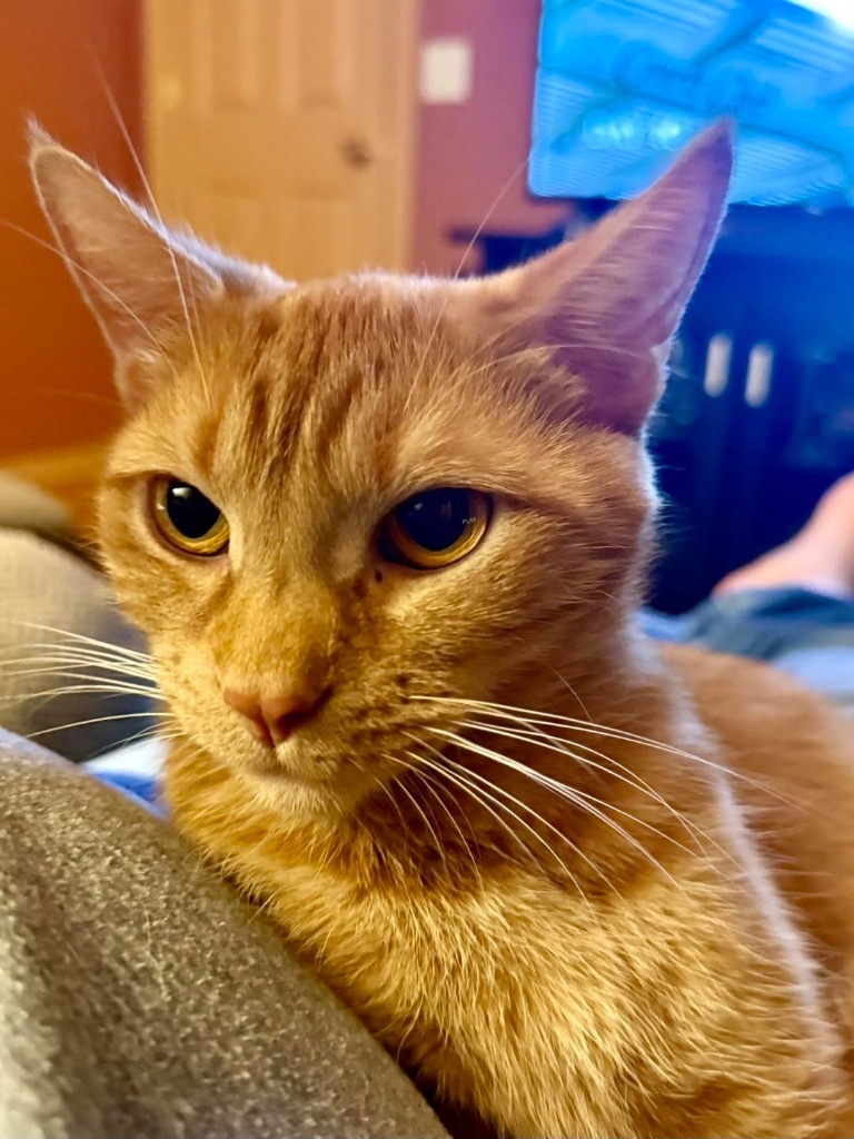 Daisy Mae