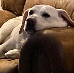 Parker, Senior Male unknown