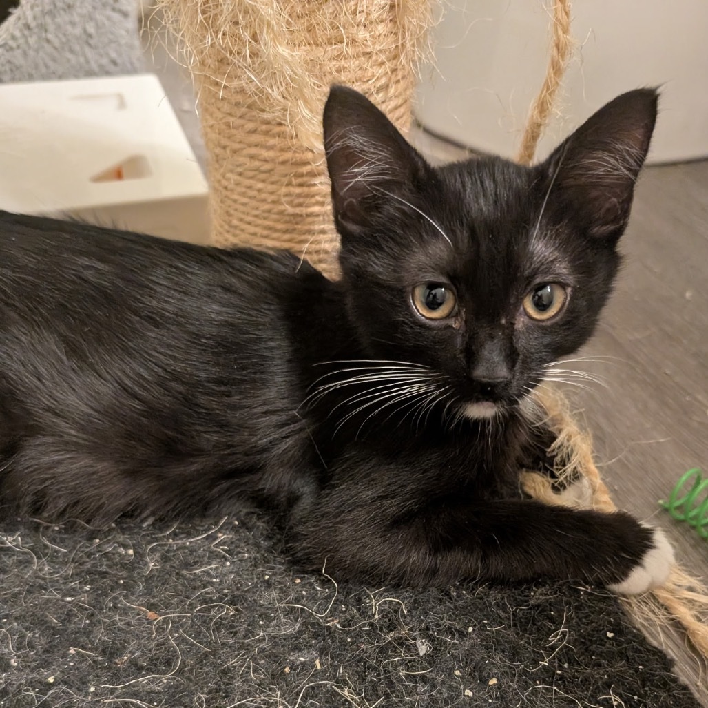 Ernie