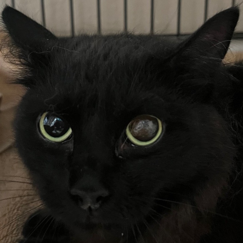 Lenore C000-325 - Claremont Location