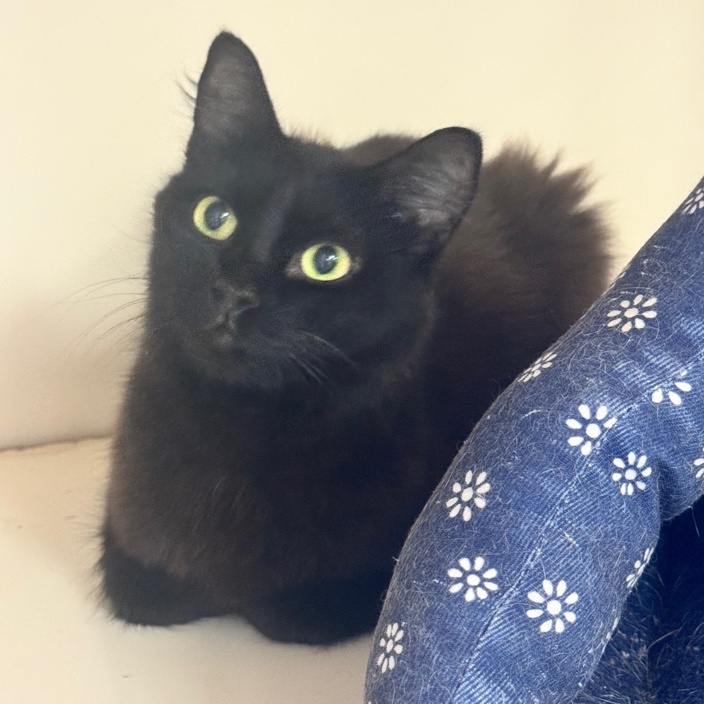 Lenore C000-325 - Claremont Location