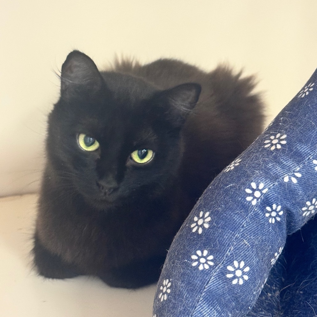 Lenore C000-325 - Claremont Location