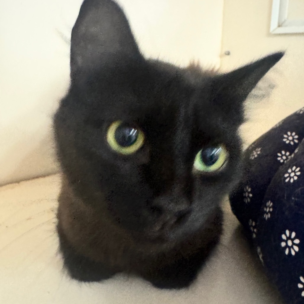Lenore C000-325 - Claremont Location