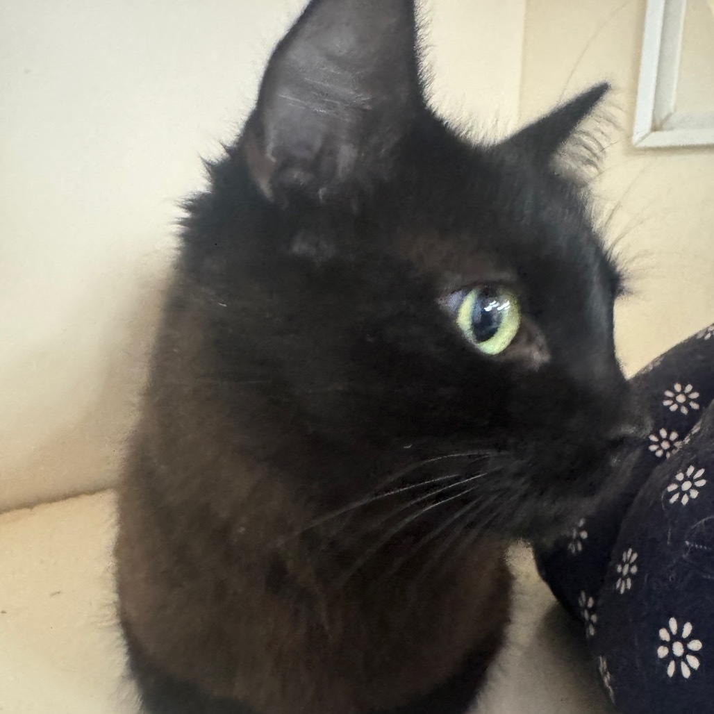 Lenore C000-325 - Claremont Location
