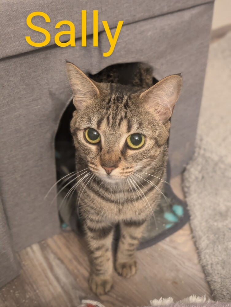 Sally