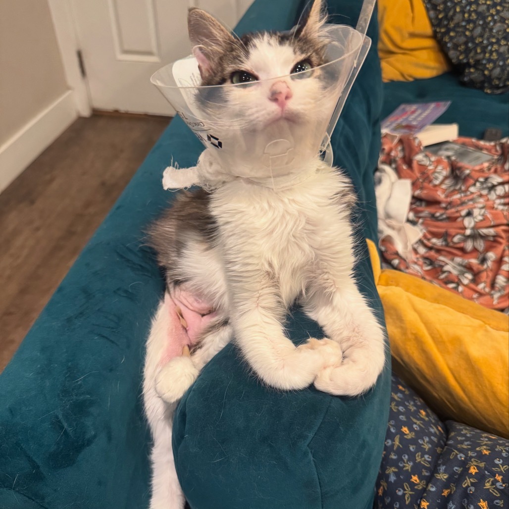 Sophie