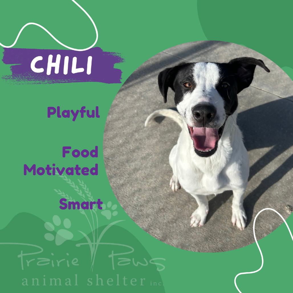 Chili
