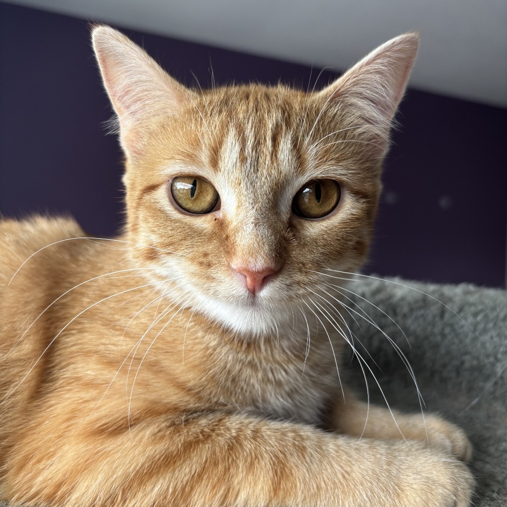 Betty Crocker--In Foster