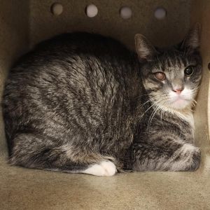 Clayo, Senior Female unknown