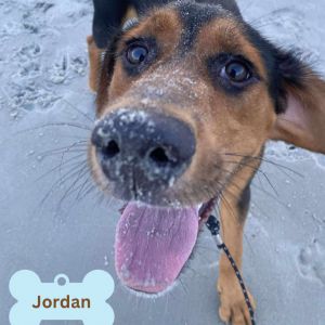 Jordan, Young Male unknown