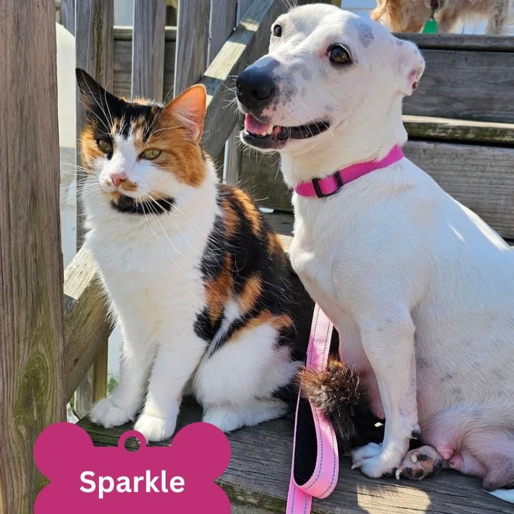 Sparkle