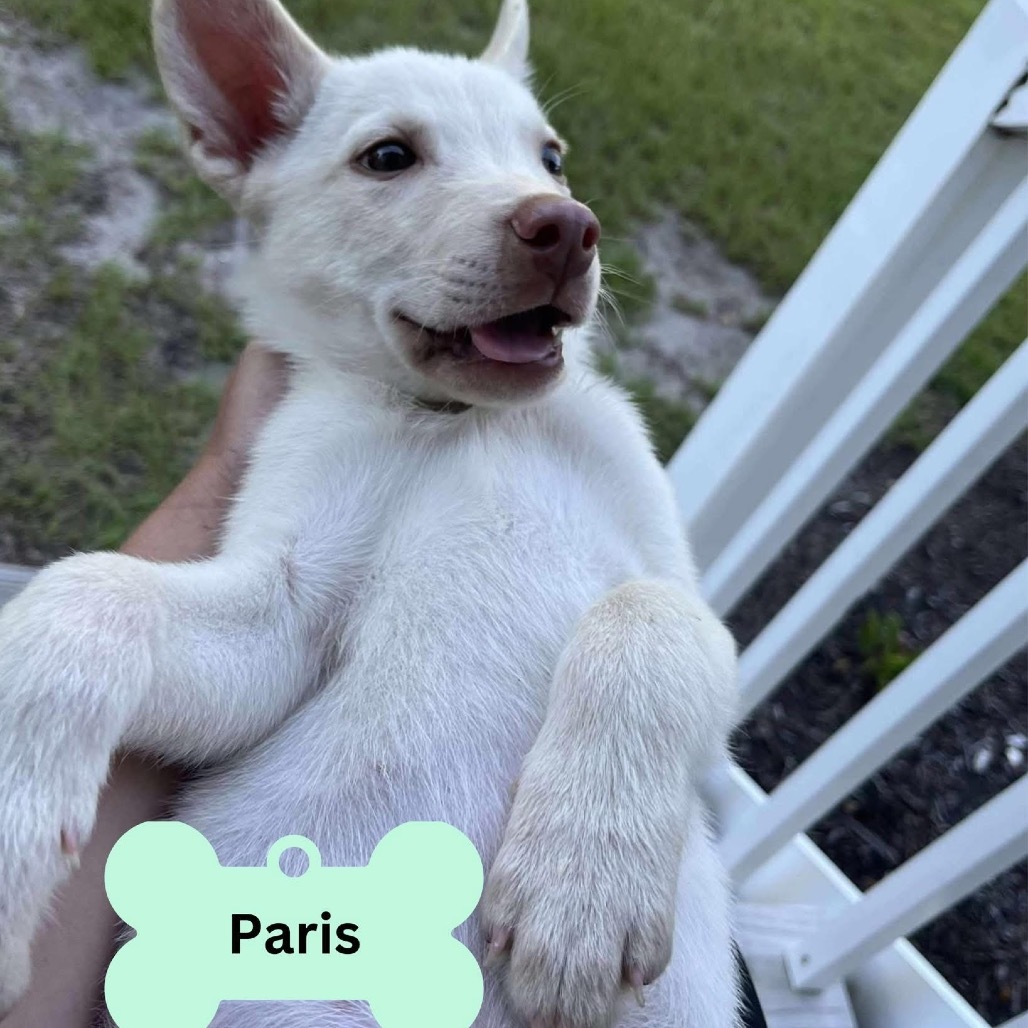 Paris