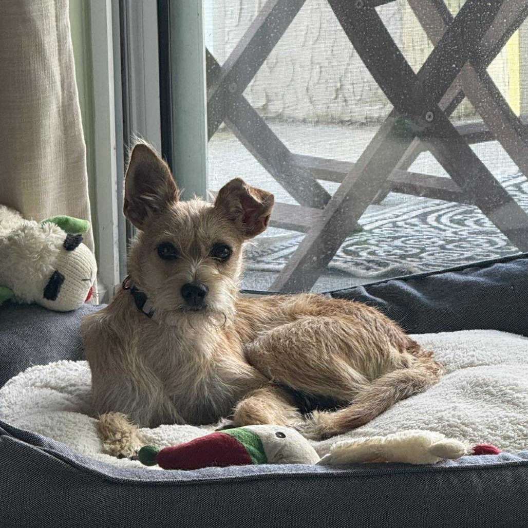 Coco