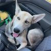 Bolt photo 3