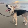 Bolt photo 6