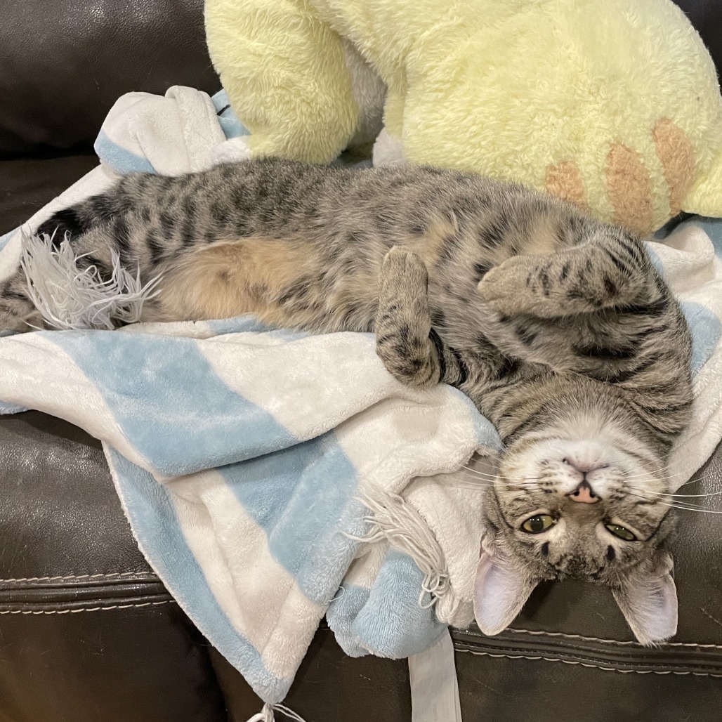 Timothy Catlamet