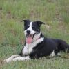 Waylen photo 4
