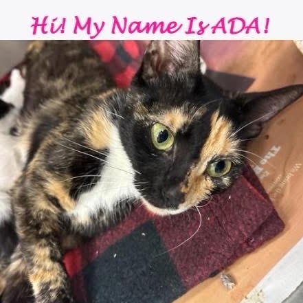 Ada