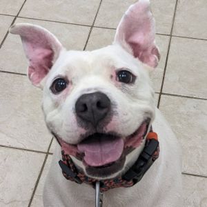 Sammi, Senior Female unknown