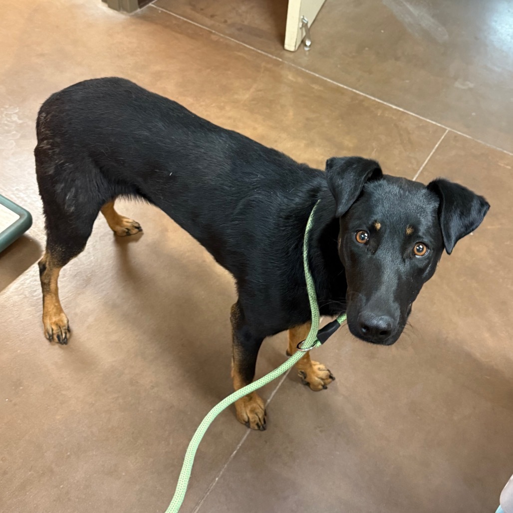 Ruthie- Playful and Sweet