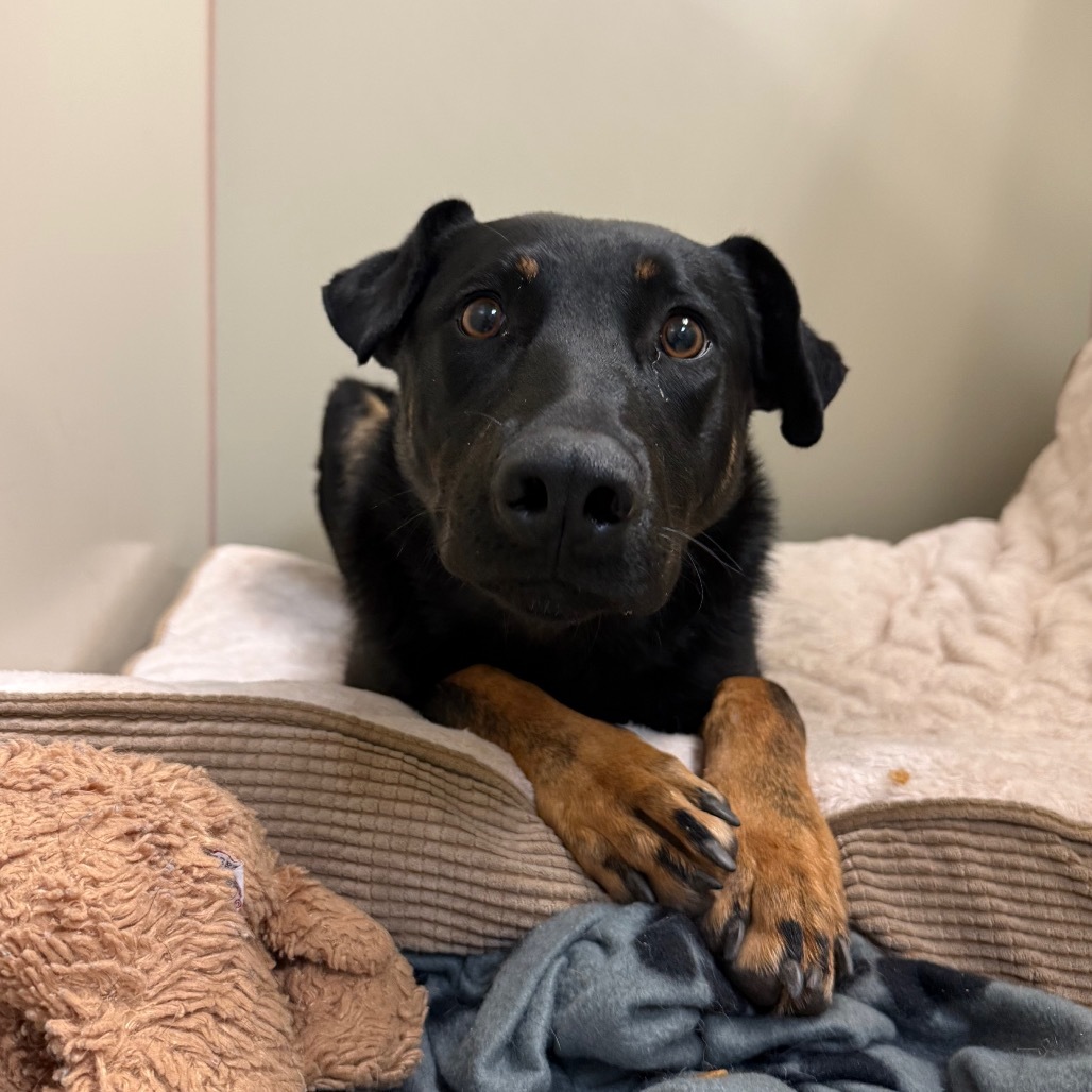 Ruthie- Playful and Sweet