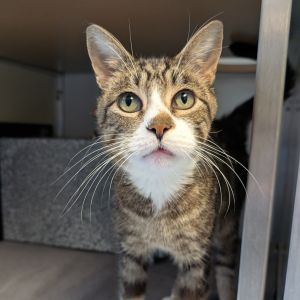 Otis, Senior Male unknown