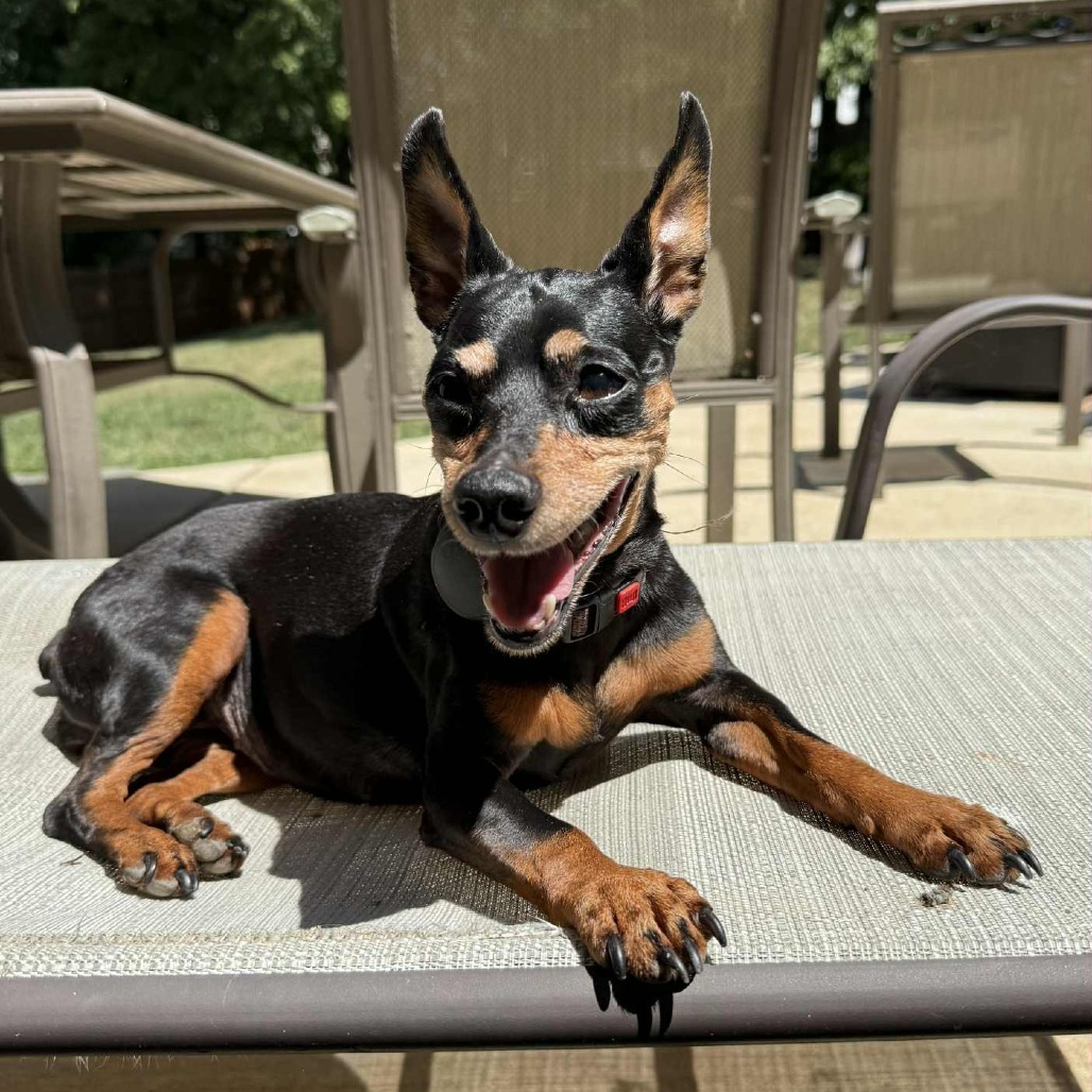 Maggie