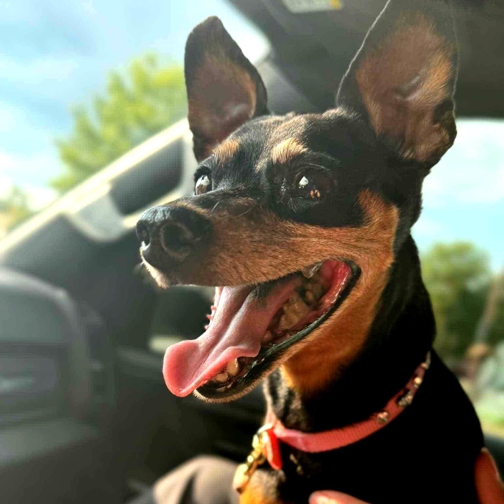 Maggie