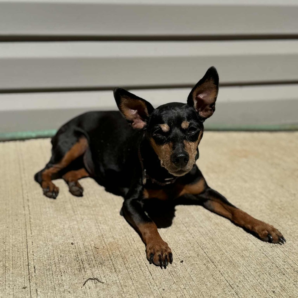 Maggie