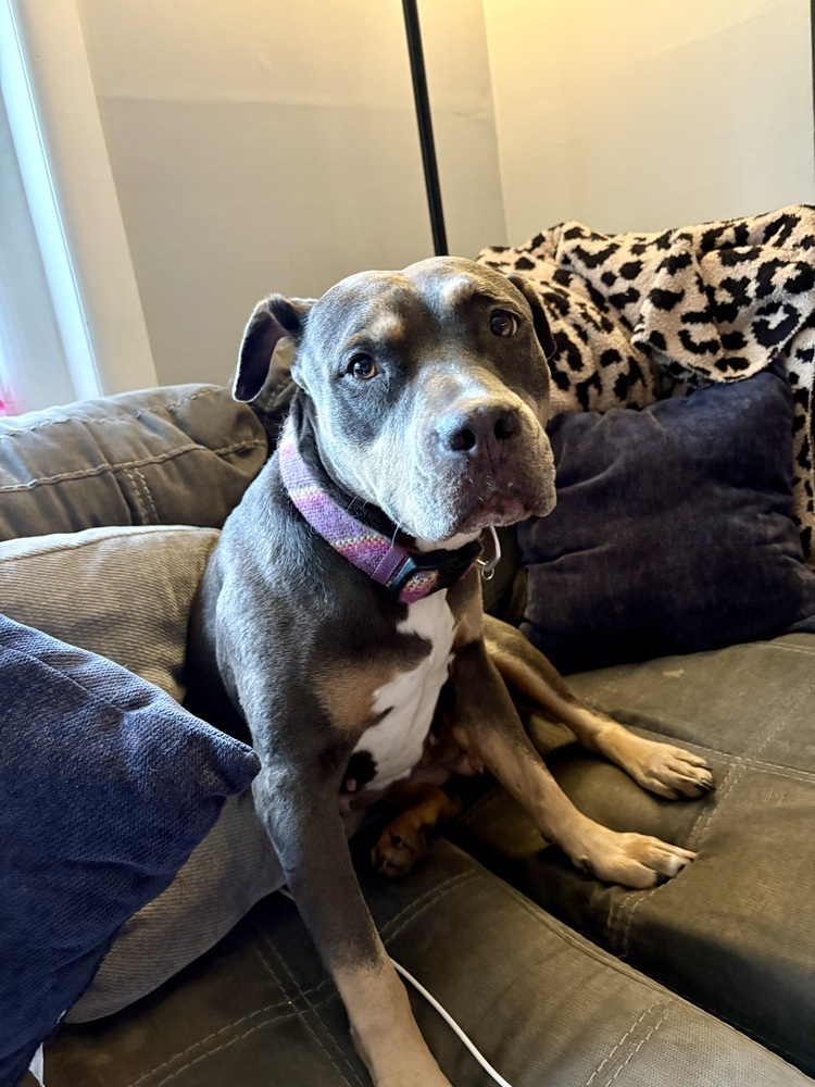 Lucy the Lucky