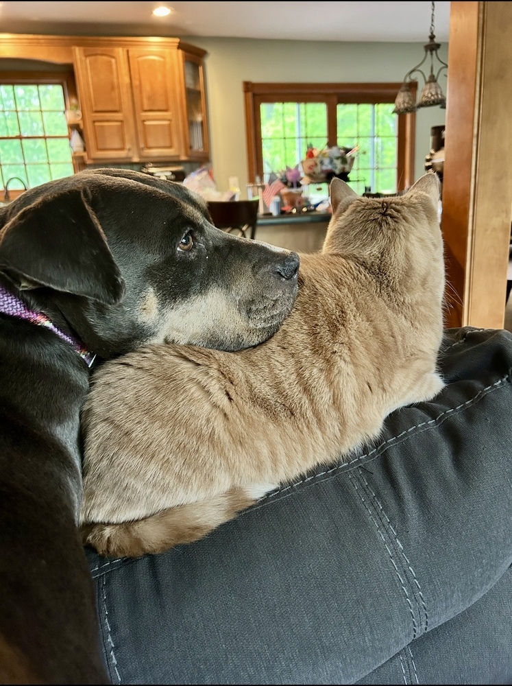 Lucy the Lucky