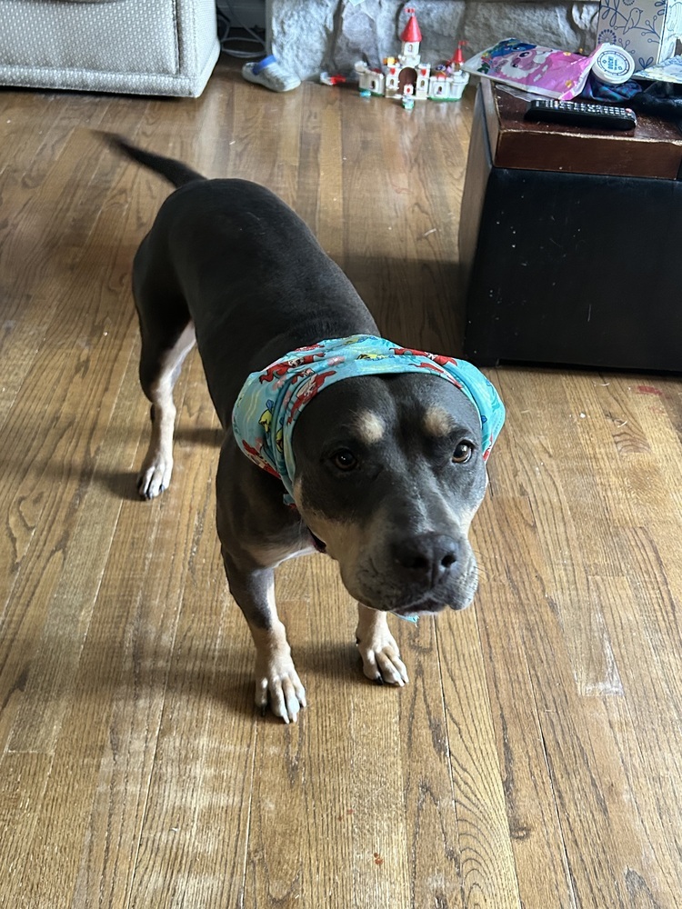 Lucy the Lucky