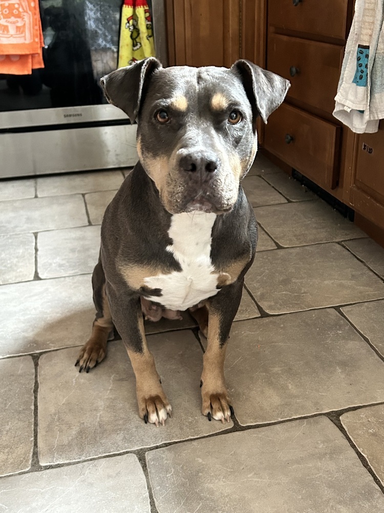 Lucy the Lucky