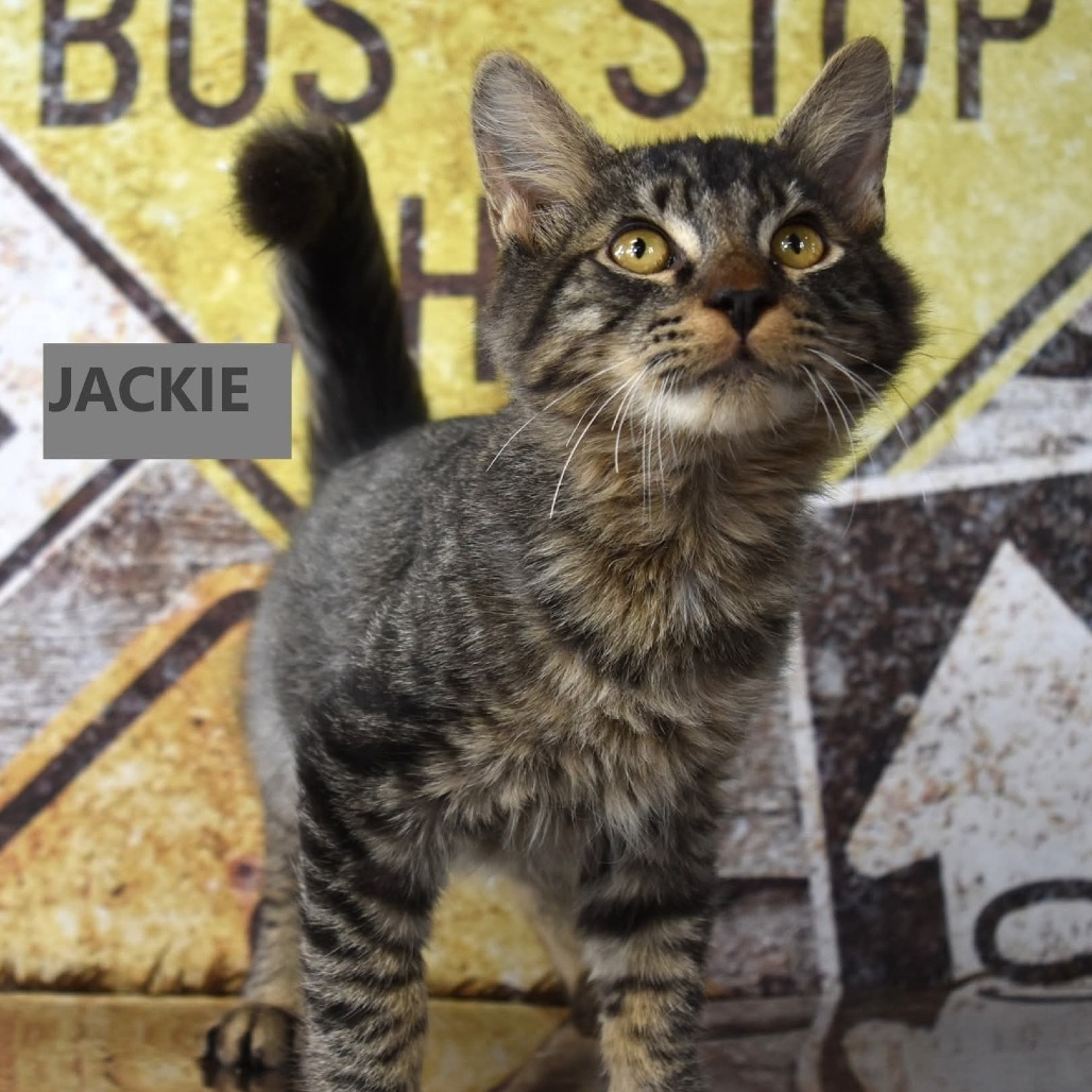 Jackie