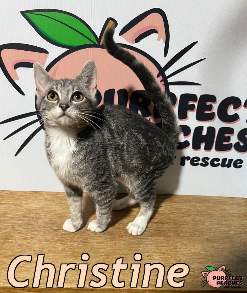 Christine