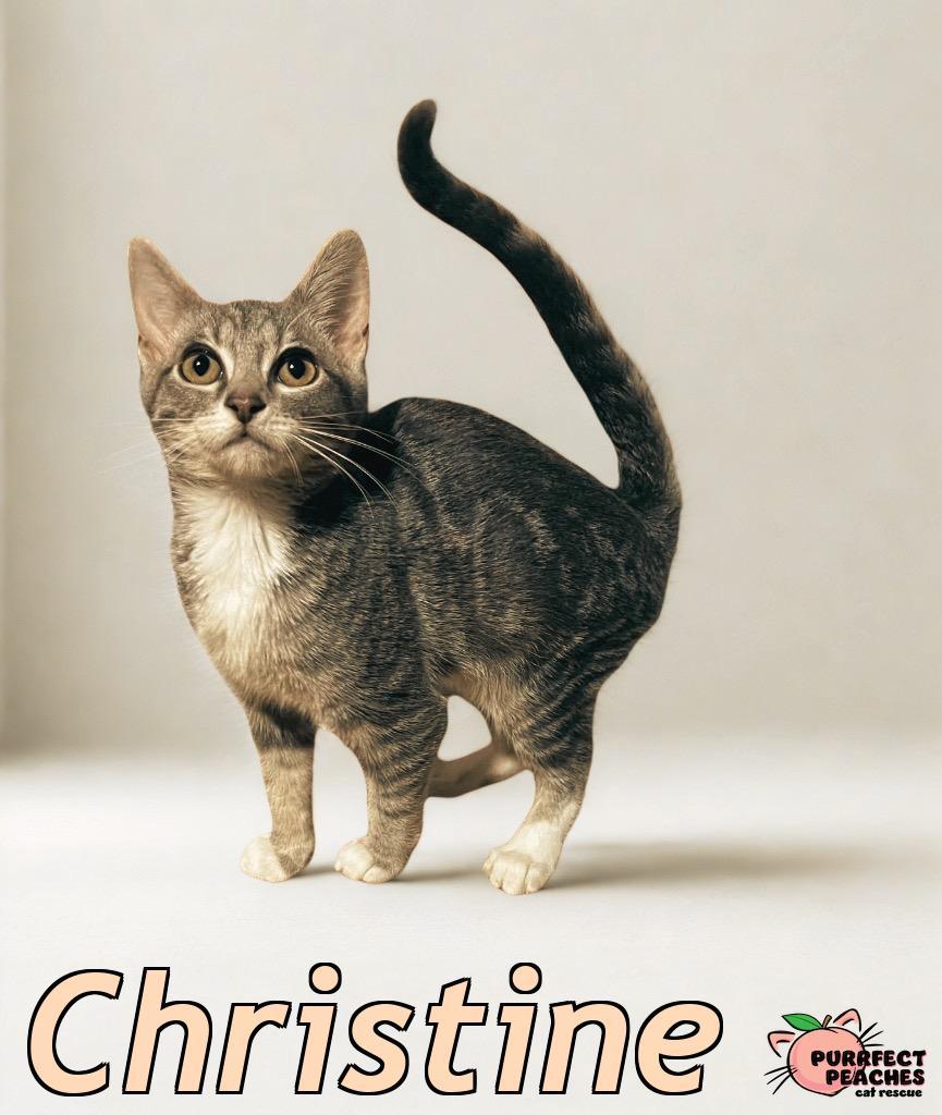 Christine