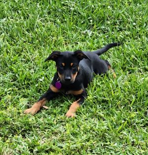 Reva, Baby Female unknown