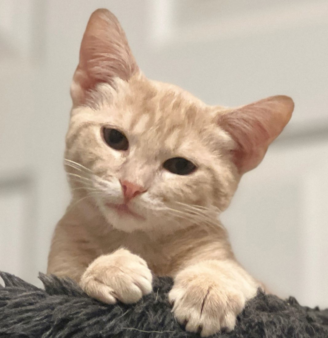 Oliver