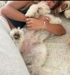 Kirby photo 2