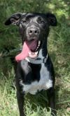 Betty photo 1