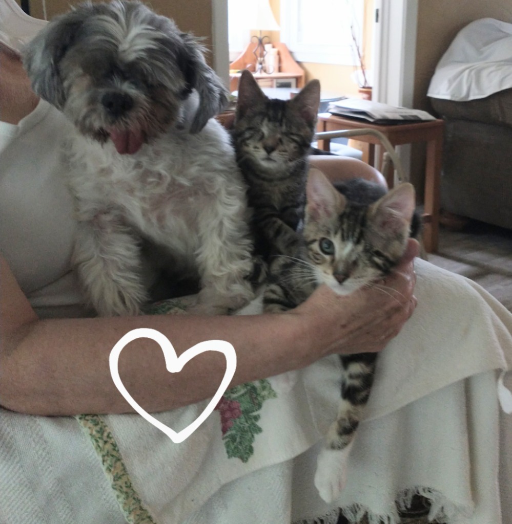 Rocky (and Gus)