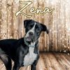 Zena photo 1
