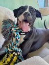 Zena photo 5