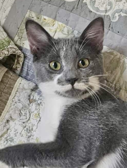 Fiona