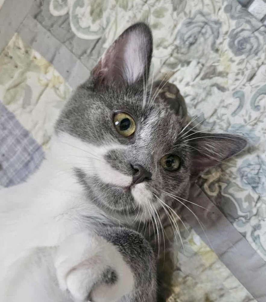 Fiona