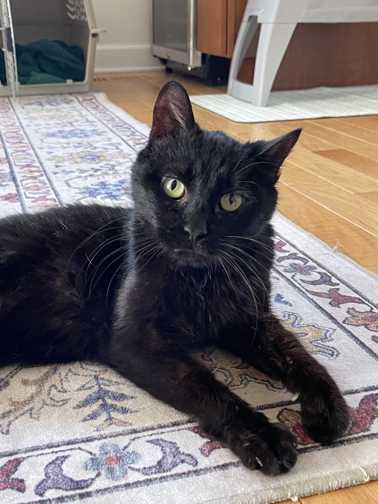 Ramona