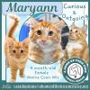 Maryann photo 2