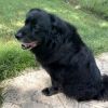 Bernie photo 2
