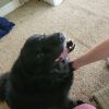 Bernie photo 3